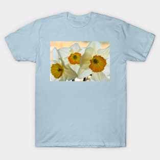 Narcissus 'Sempre Avanti' Div. 2 Large-cupped Daffodil T-Shirt